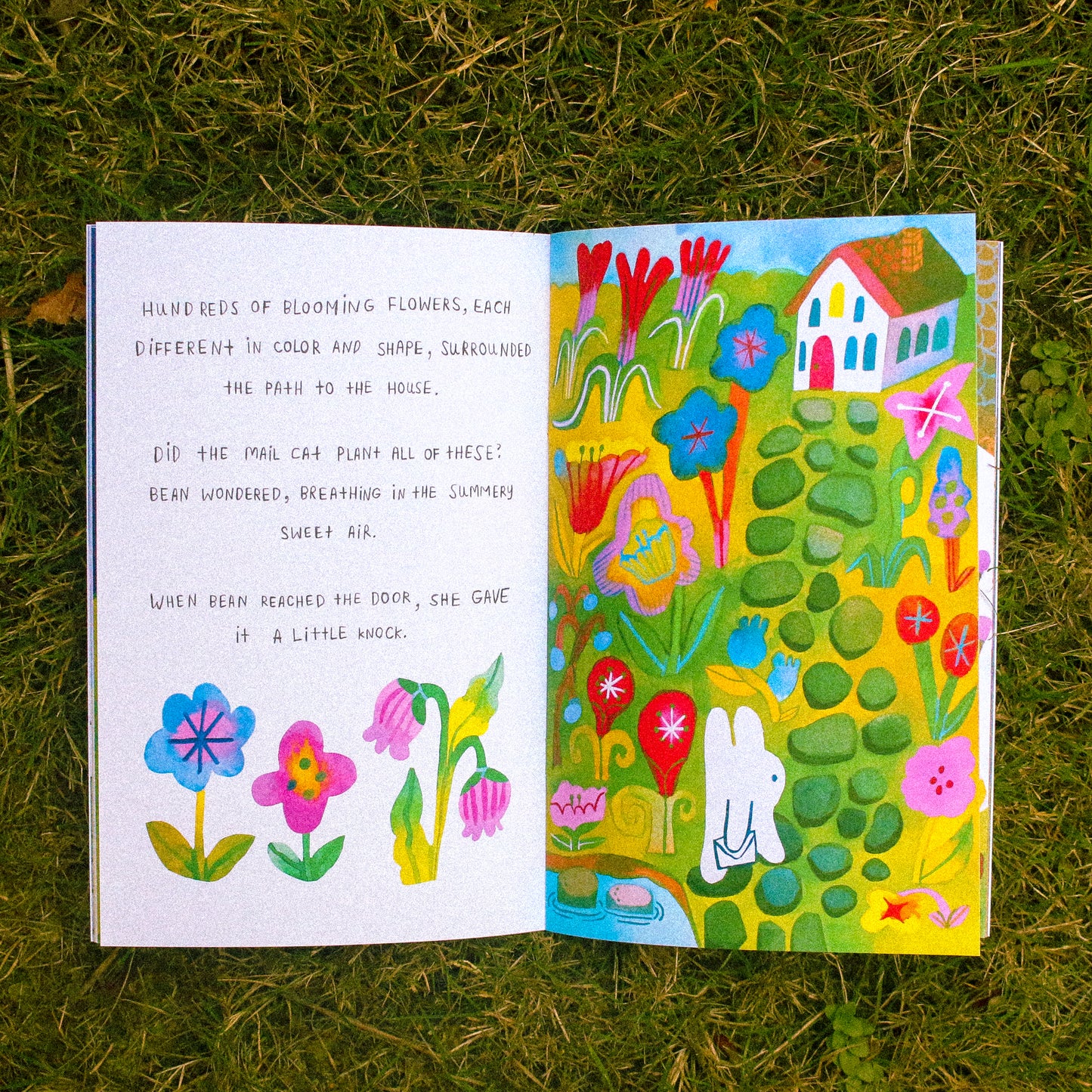 'Mail for the Mail Cat' Zine